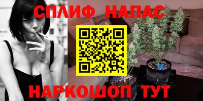 COCAINE Можга