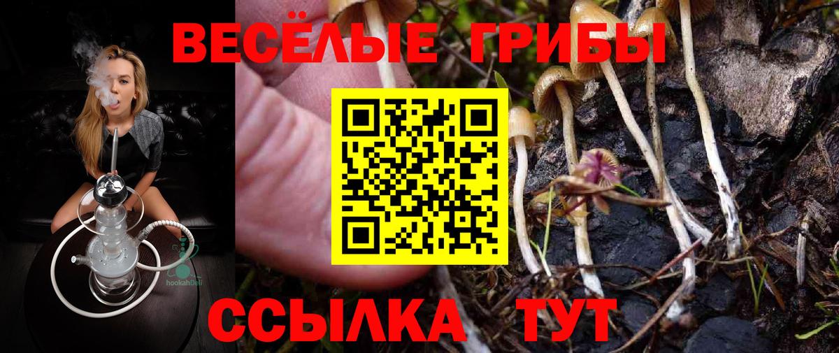 Псилоцибиновые грибы ЛСД Верхняя Салда